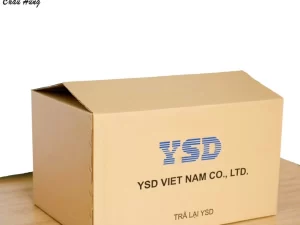 bao bì carton miền bắc
