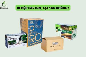 In-hop-carton-theo-yeu-cau