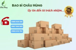 bao-ve-hoan-hao-voi-thung-carton