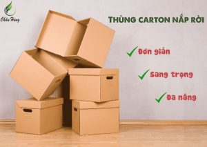 Thung-carton-nap-roi