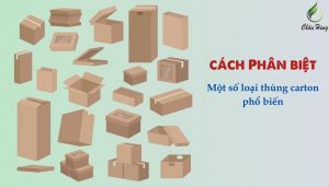 cac-loai-thung-carton