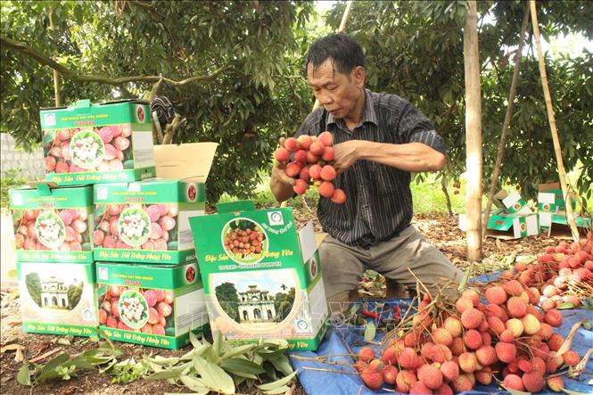 hop-carton-dung-vai-trung-hung-yen